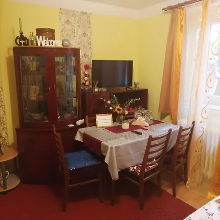 Apartment Cu Doua Si Gradina *
