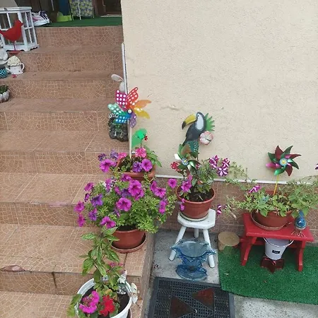 Cu Doua Si Gradina * Cluj-Napoca