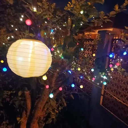 Apartment Cu Doua Si Gradina