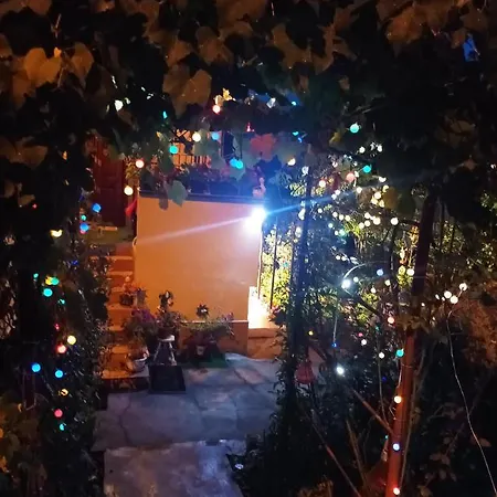 Apartment Cu Doua Si Gradina