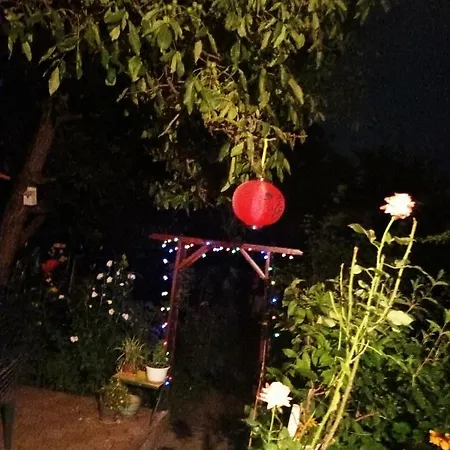 Apartment Cu Doua Si Gradina *