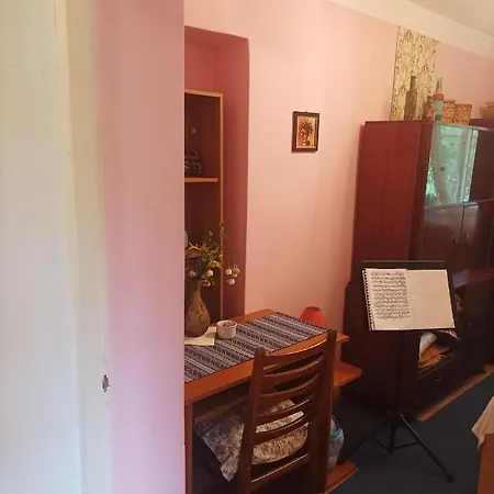 Cu Doua Si Gradina Apartment