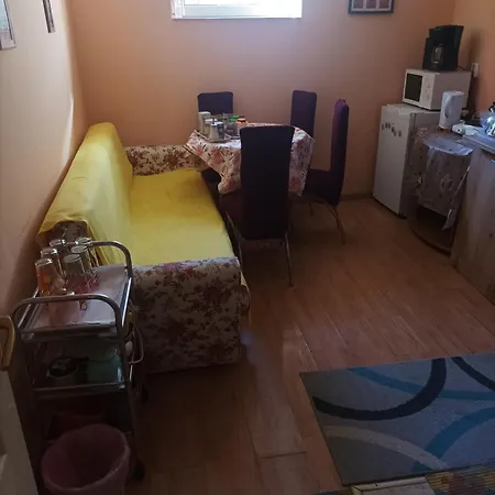 Apartment Cu Doua Si Gradina *