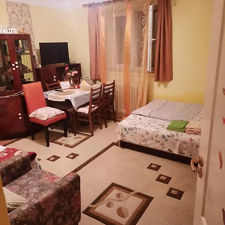 Apartment Cu Doua Si Gradina