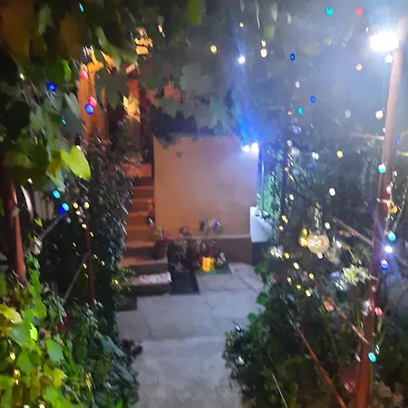 Apartamento Cu Doua Si Gradina *