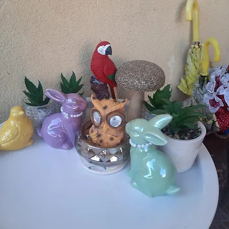 Cu Doua Si Gradina *