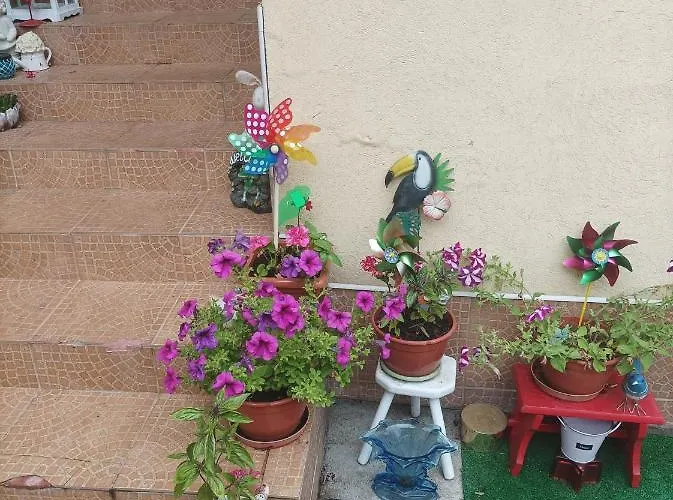 Cu Doua Si Gradina * Kolozsvár