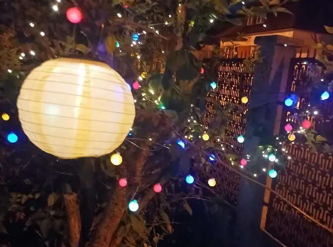 Apartman Cu Doua Si Gradina