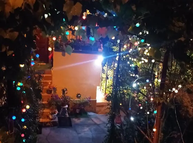 Apartman Cu Doua Si Gradina