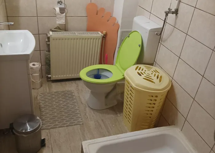 Apartman Cu Doua Si Gradina