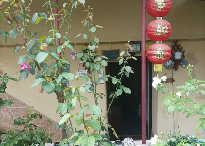 Cu Doua Si Gradina Apartman