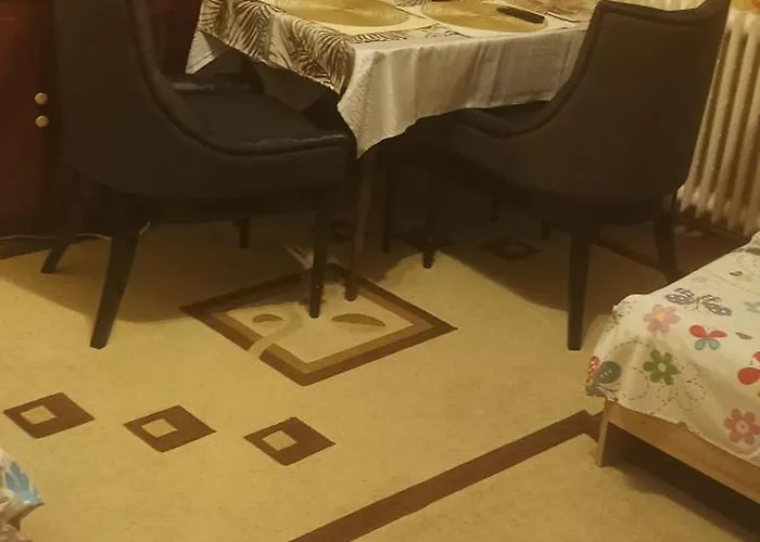 Apartman Cu Doua Si Gradina *