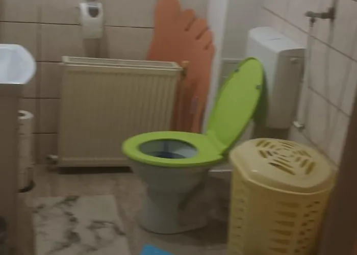 Apartman Cu Doua Si Gradina Kolozsvár